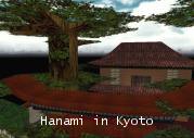 Hanami in Kyoto - Voir l'agrandi ...